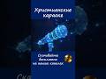 Минусовки. Караоке. Песни Павловых. Христианская песня со словами #караоке #христианскиепесни