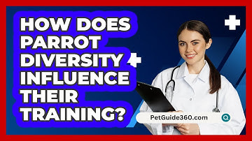 How Does Parrot Diversity Influence Their Training? - PetGuide360.com