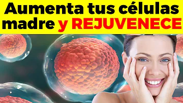 ¿Cómo puedo regenerar mis células más rápidamente?