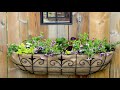 DIY - Burlap/Plastic Lined Window Box - Replacing a Coco Fiber Liner for Free