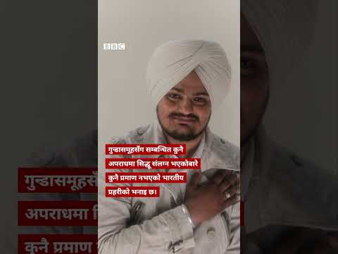 Sidhu Moose Wala  murder: चर्चित गायकको हत्याको जिम्मेवारी लिने गुन्डानाइकेको भनाइ - BBC Nepali Sewa