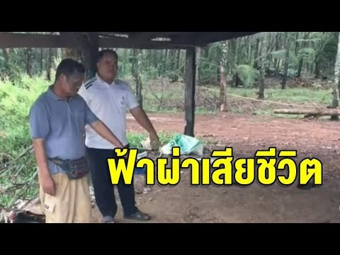 ฟ้าผ่า สามี-ภรรยา ออกไปปลูกผักหวานกลางนา ดับ 1 เจ็บ 1