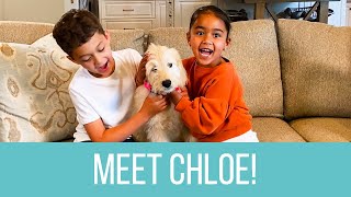 WE GOT A PUPPY! 🐶 Welcome to the family, Chloe!