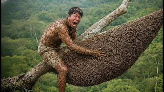 Better Than a Monkey? | Climbing a Giant Ancient Tree 100 Meters High for Wild Honey
