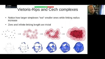 Maksym Tsizh "Persistent homology of Cosmic Web"