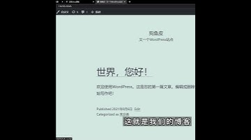 网站注册成功，轻松拥有个人博客 #python#网站#代码