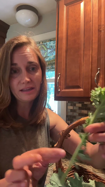 Harvest & Preserve Kale with Me! #gardening #gardeningtips #growyourownfood