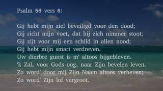 Psalm 56 vers 5 en 6 - Ik roem in God; ik prijs 't onfeilbaar woord