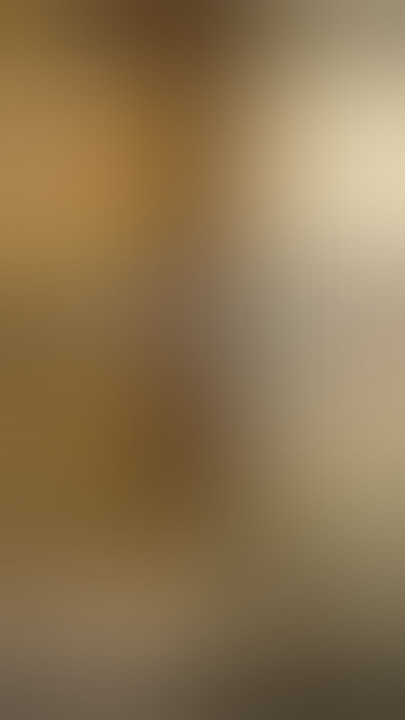 Reaksi burung kakak tua saat kandangnya dihancurkan❗❗#shorts #funnyvideos #funnyanimal