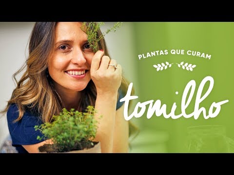 Vídeo: Tomilho Seco (tomilho) - Conteúdo Calórico, Propriedades úteis, Valor Nutricional, Vitaminas