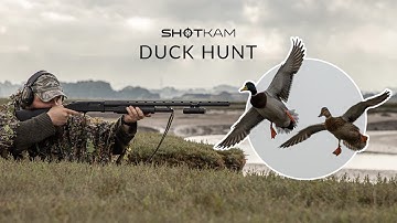 ULTIMATE Duck Hunt: How many species can you spot? (ShotKam Gen 3 videos)