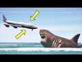 Megalodon sharks attacks president bidens air force one aircraft flying in the ocean  gta 5