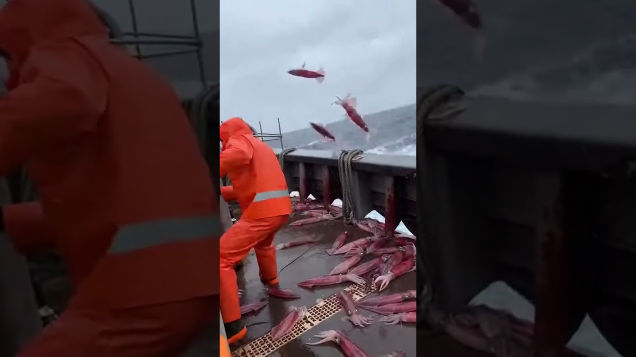 Squid Rain in a Storm—Metal Deck Gets HAMMERED😱