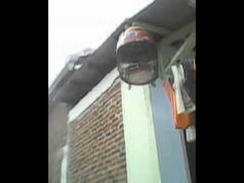 RINGTONES KUCING,AYAM\u0026BURUNG ASLI