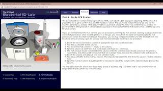 Bacteria Identification Virtual Lab