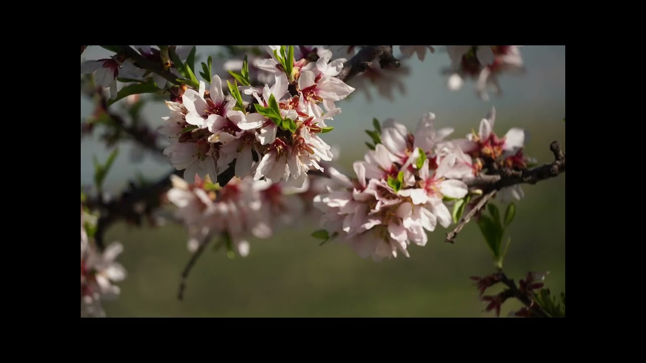 الطبيعة نواحي زكوطة و مولاي ادريس زرهون