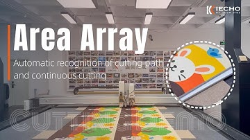 IECHO Area Array.Automatic recognition of cutting path and continuous cutting.