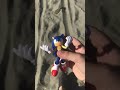 Posing my figures :35th anniversary sonic but at the Beach￼