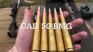 Suppressed Ax-50 .50 Bmg Tracer Long Range Shooting