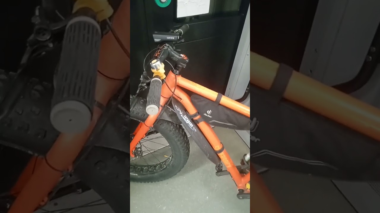 🟠Велосипед Silverback Scoop Deluxe 2019 оранжевый 