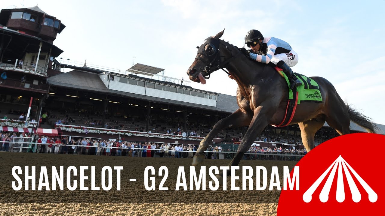 horseshoe bend Shancelot - 2019 - The Amsterdam Stakes