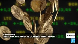 'Bitcoin halving' is coming. So what is it all about? • FRANCE 24 English