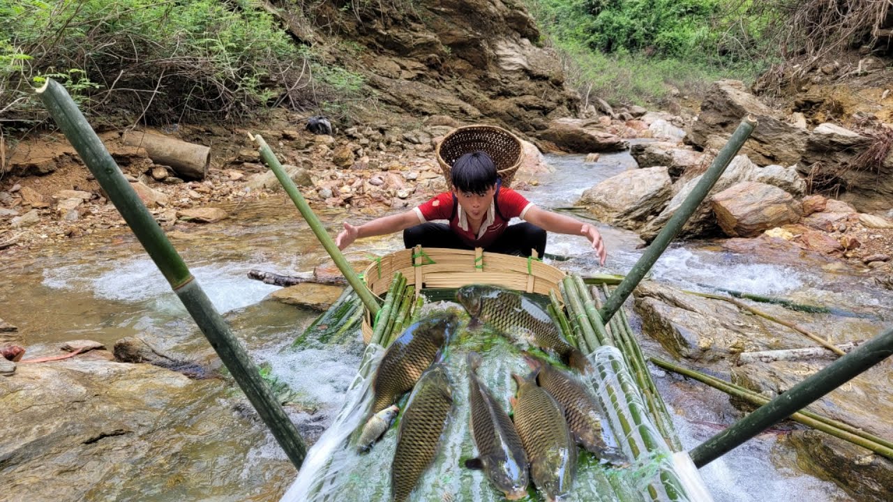 The boy used bamboo to make a trap to catch fish in the stream. - YouTube