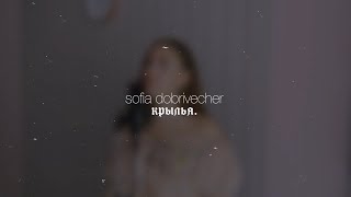 Sofia Dobrivecher - крылья