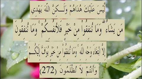 القران الكريم سورة البقرة الاية 272