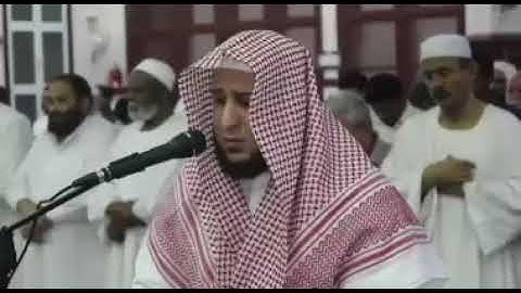 تلاوة القارئ محمود متولي ماتيسر من سورة هود