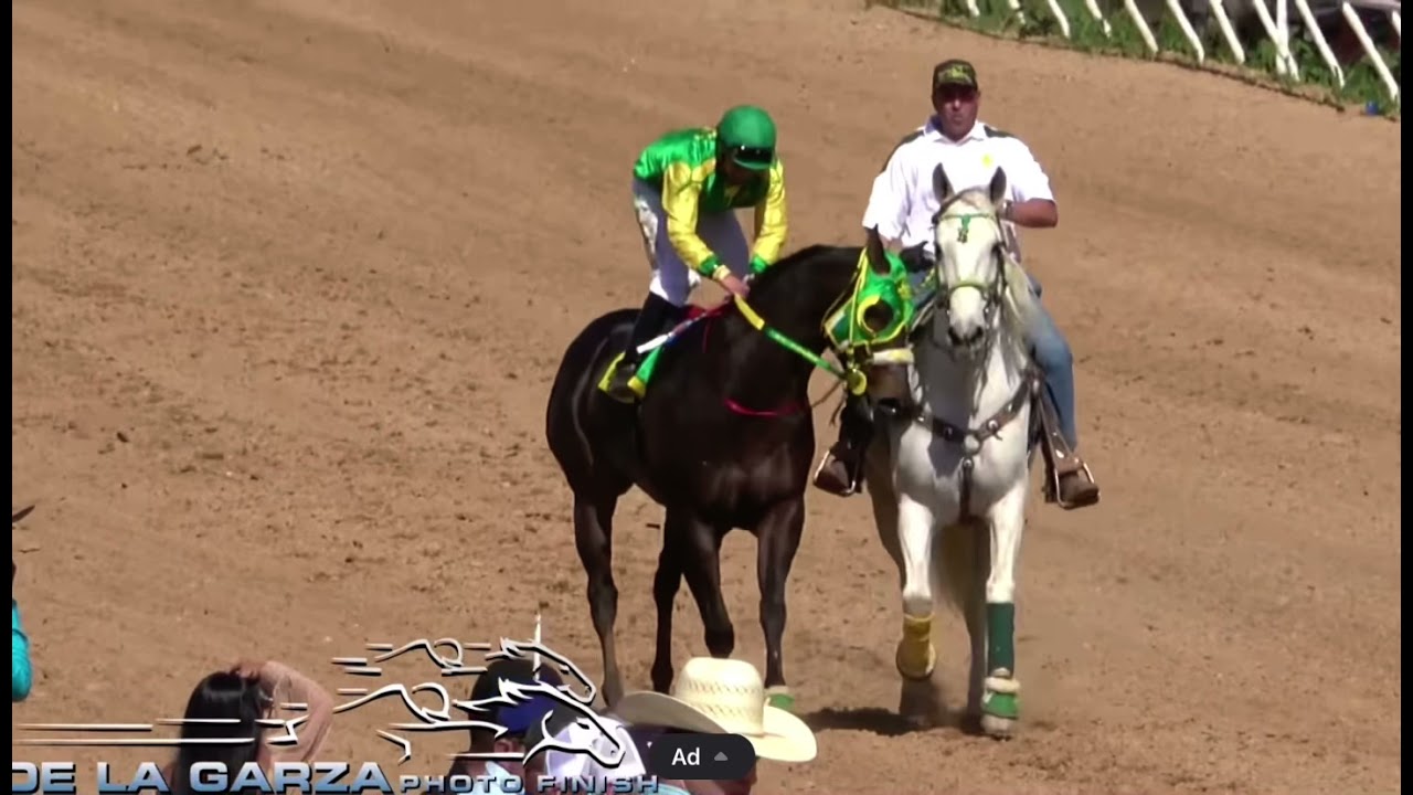 El cisne vs el nave 727