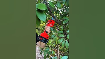 Smart Electric Pruning Shears for Easy Tree Trimming #SmartFarming #ElectricPruner #TreeTrimming #