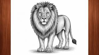 Lion Drawing Easy | Realistic Lion Drawing Step by Step for Beginners | Wildlife Animal Sketch Lion Drawing Easy | Realistic Lion Drawing Step by Step for Beginners | Wildlife Animal Sketch