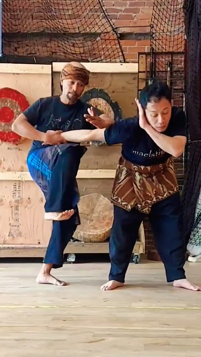 Pencak silat technique