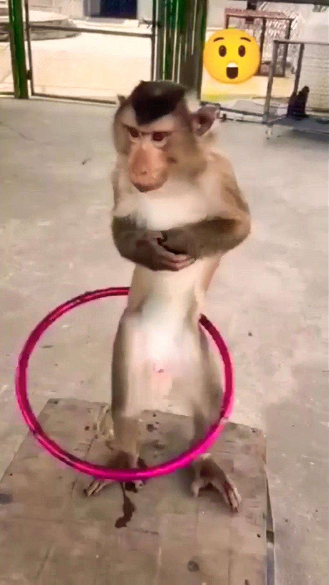 Patli kamariya mor Hi Hi Hi ???#shotfeeds #comedy  #ponnusword ?