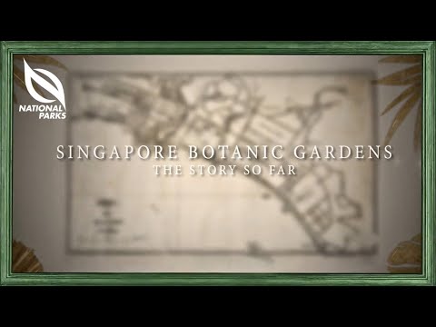 Video: Pokyny pro zahradní etiketu – jak si užít botanické zahrady