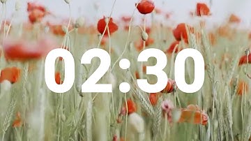 2 Minute 30 Second Timer with Relaxing Music and Alarm, Countdown Clock for Stress Relief