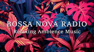 Bossa Nova Radio ~ 24/7 Jazzy Latin Instrumental Music ~ Bossa Nova BGM screenshot 4
