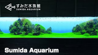 Sumida Aquarium in Tokyo Skytree (すみだ水族館)