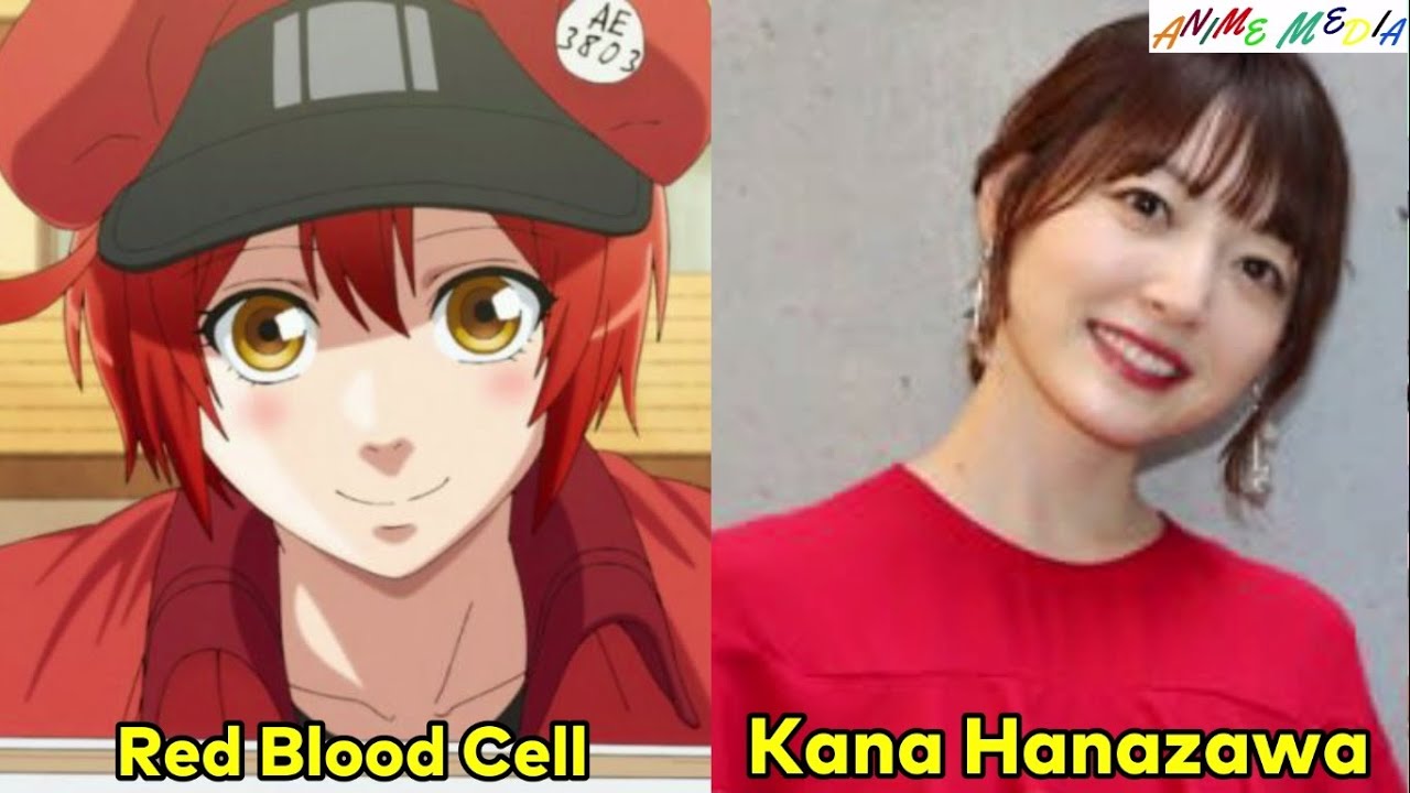 English Dub Cast of 'Hataraku Saibou' Revealed 