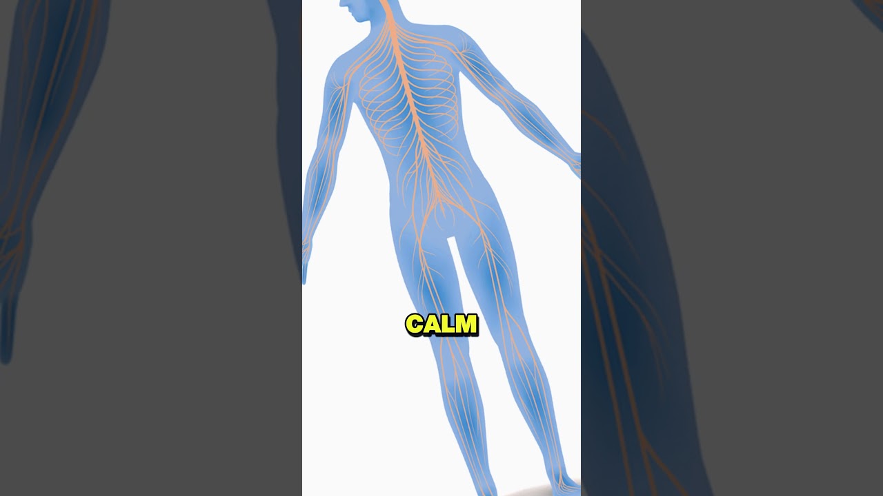 30 Days Of Natural Sleep Aids – You Won’t Believe The Results! 