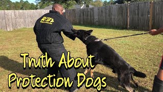 Helpful Information About Protection Dogs and Selecting A Pup for the training