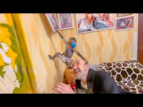 Вы будете СМЕЯТЬСЯ до СЛЕЗ! Люся устроила себе развлечение ПРЫГАТЬ с ГОЛОВЫ Влада и обдирать обои)