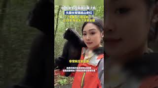 00后女生森林公园上班头戴长臂猿巡山走红 当事人：很治愈，它19岁年纪大了没安全感