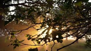 Realxing Music With the view Of Sunrays❤️  #Sun #Rays #River #Beach #Mountains #Nature #View #Vlog screenshot 5