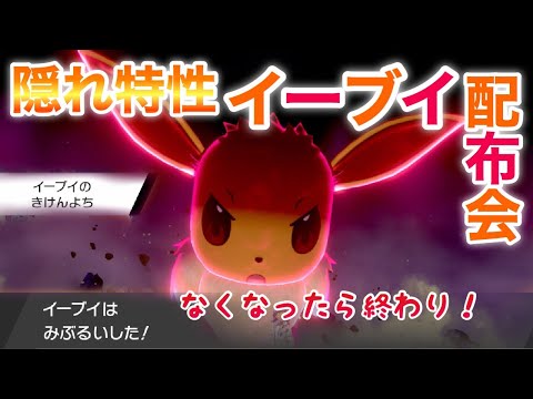 激レア 隠れ特性イーブイ なライブ ポケモン剣盾 Youtube