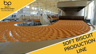 Biscuit Pro - Soft Biscuit Production Line
