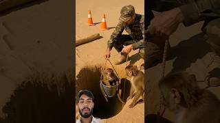 Indian Army Saves Baby Monkey #monkey #rescue #animals #shorts
