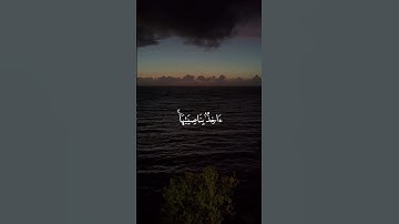 القران الكريم #تيك_توك #اكسبلور #murottal #راحة_نفسية