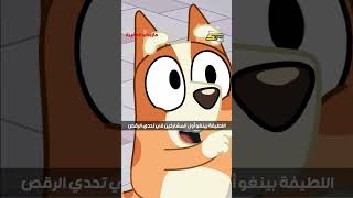 اللطيفة بينغو أول المشاركين في تحدي الرقص 🥰✌